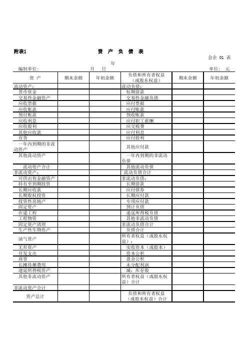 2021年公司资产负债表 (模板)