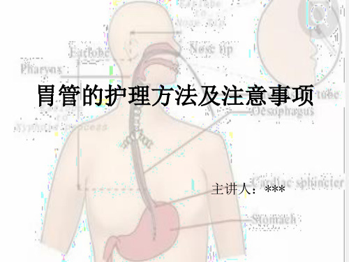 胃管的护理及注意事项PPT