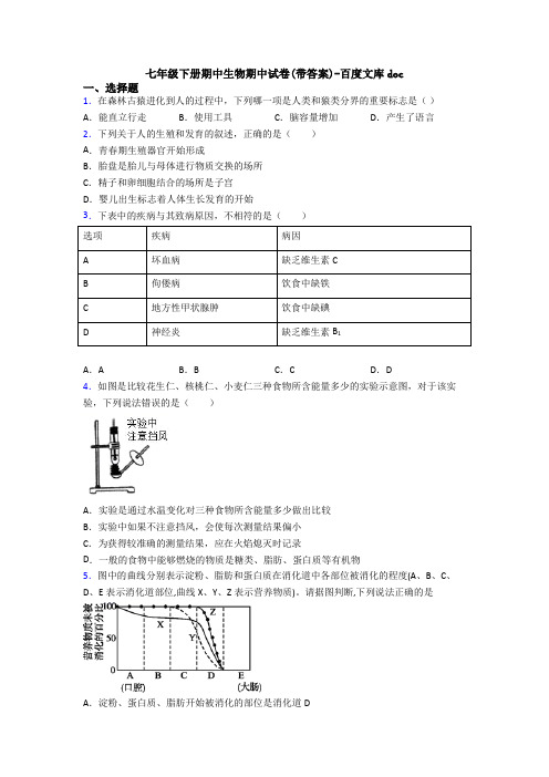 七年级下册期中生物期中试卷(带答案)-百度文库doc