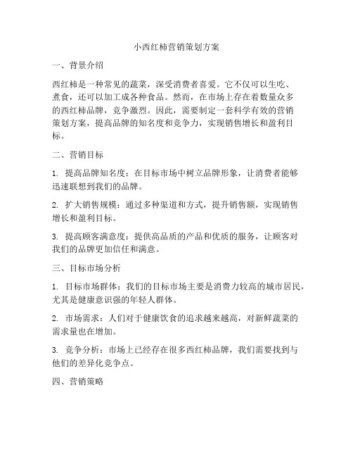 小西红柿营销策划方案