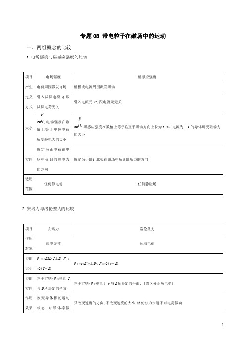 专题08 带电粒子在磁场中的运动   高考物理热点难点专题突破(解析版)