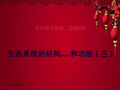九年级科学下册 2.4 生态系统的结构和功能(3)课件浙教级下册自然科学课件
