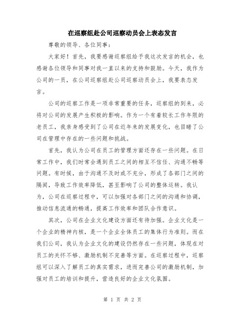 在巡察组赴公司巡察动员会上表态发言