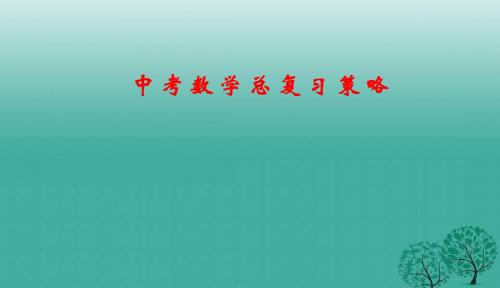 2018年新课标人教版初中中考数学总复习策略ppt(专题拔高特训)