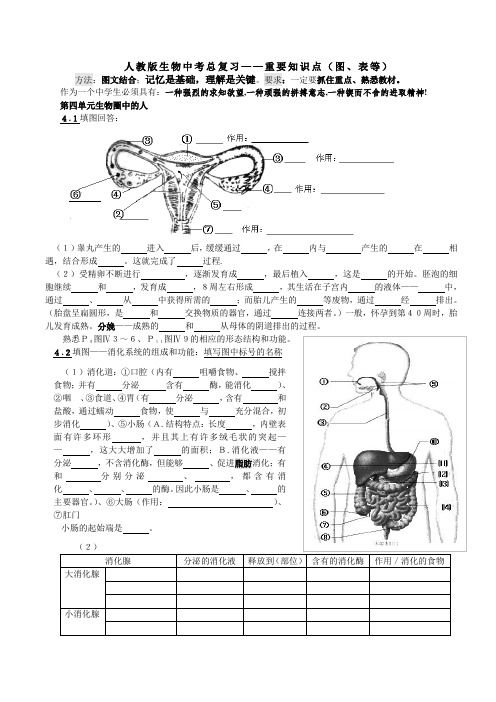 生物中考总复习++重要知识点(图、表等)+人教版