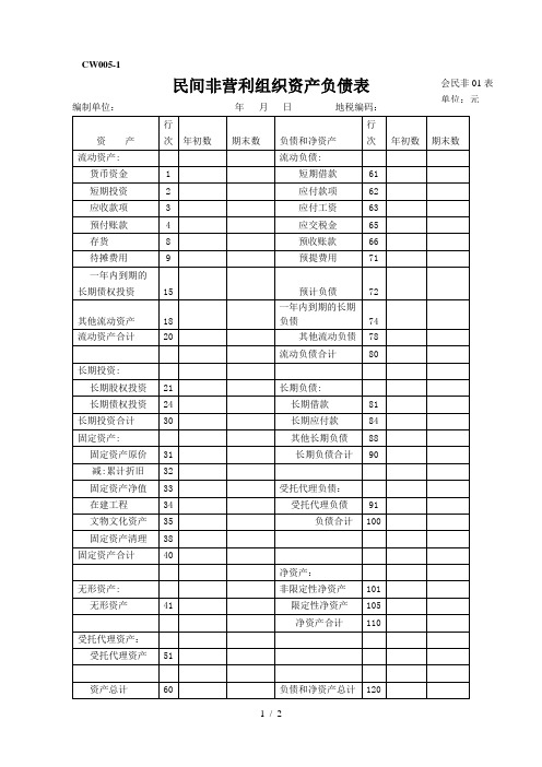 (完整版)CW民间非营利组织资产负债表