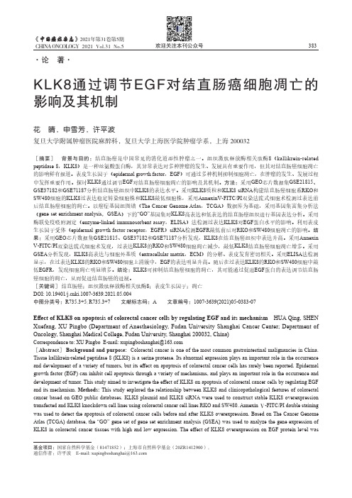 KLK8通过调节EGF对结直肠癌细胞凋亡的影响及其机制