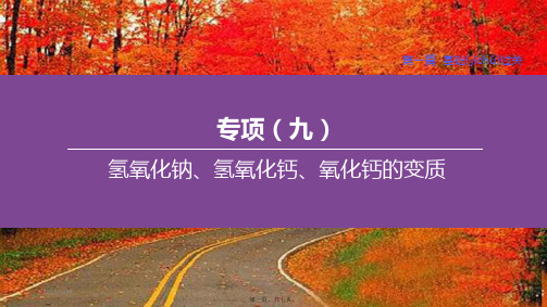 中考化学复习方案 专项09 氢氧化钠、氢氧化钙、氧化钙的变质课件