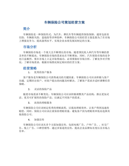 车辆保险公司策划经营方案