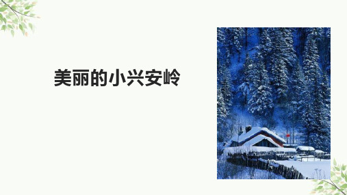 统编版三年级语文上册20.《美丽的小兴安岭》课件(共27张PPT)