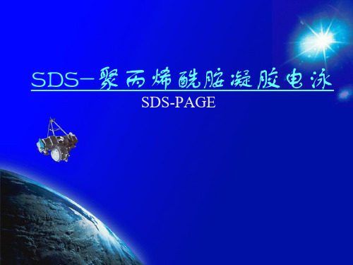 SDSPAGE原理步骤详细介绍含图片课件