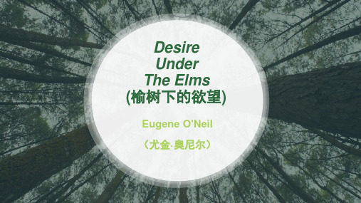 Desire Under The Elms (榆树下的欲望)学生自主上课