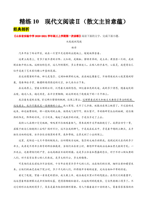 精练10  现代文阅读Ⅱ(散文主旨意蕴)(解析版)-备战2021年高考语文大题精做(新高考专用)