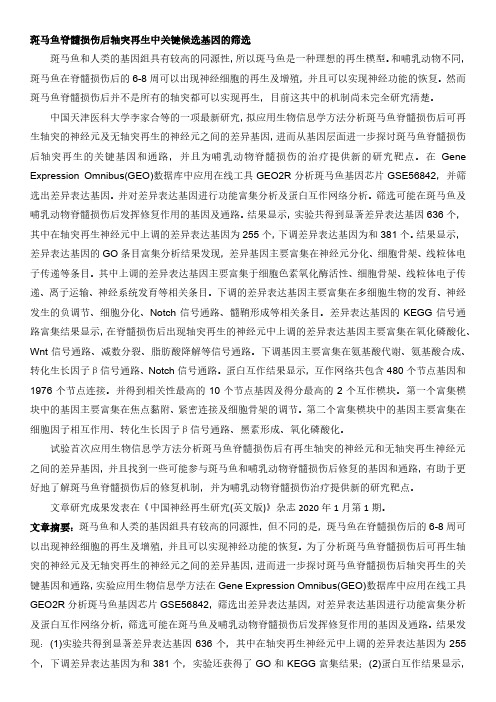 斑马鱼脊髓损伤后轴突再生中关键候选基因的筛选