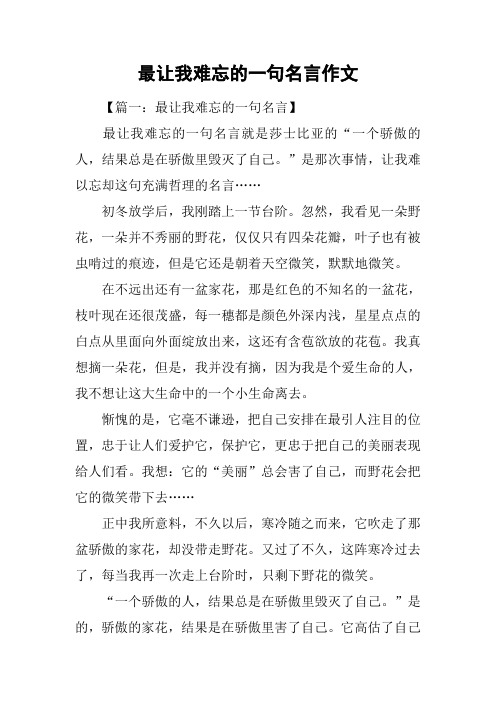 最让我难忘的一句名言作文