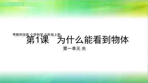 粤教版科学新六年级上册科学1.1《为什么能看到物体》课件(共27张PPT)