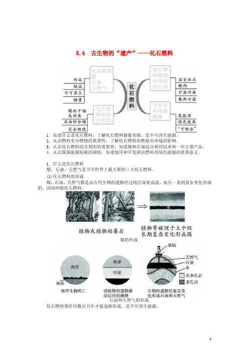 九年级化学上册 5.4 古生物的“遗产”—化石燃料练习 (新版)粤教版