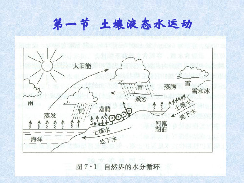 土壤水水分移动与循环