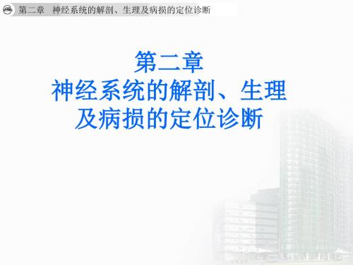 神经系统的解剖、生理及病损的定位诊断