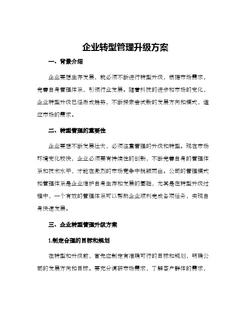 企业转型管理升级方案