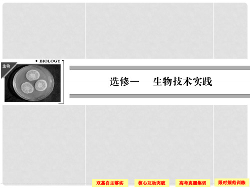 高考生物一轮复习 11生物技术的实践课件 教科版选修1