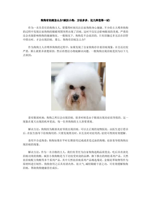 狗狗有泪痕怎么办?疯狂小狗:方法多多,这几种值得一试!