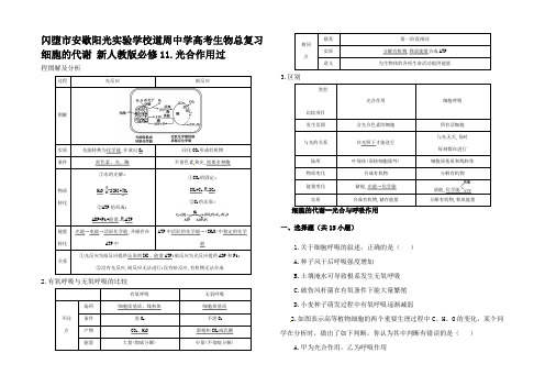 高考生物总复习细胞的代谢1