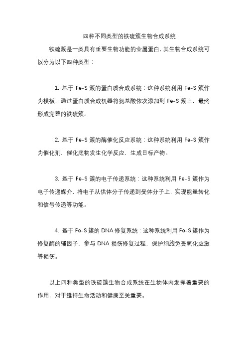四种不同类型的铁硫簇生物合成系统