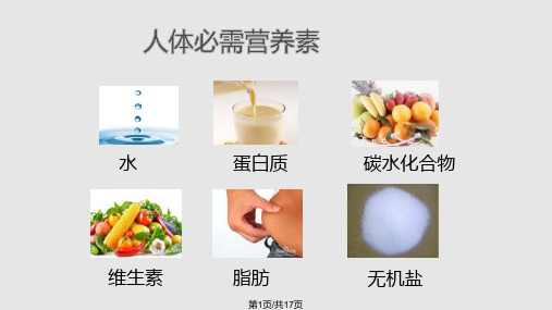 科学饮食每一天PPT课件