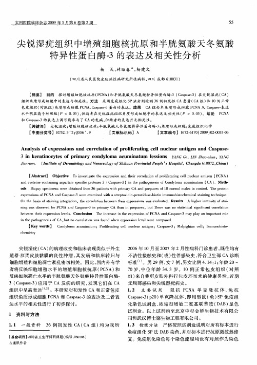 尖锐湿疣组织中增殖细胞核抗原和半胱氨酸天冬氨酸特异性蛋白酶-3的表达及相关性分析