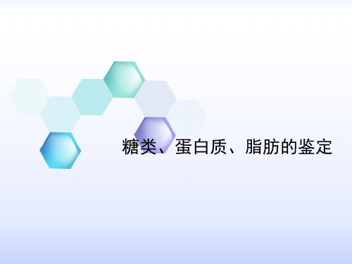 糖类、蛋白质、脂肪的鉴定