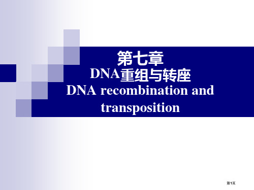 分子生物学DNA的重组与转座公开课一等奖优质课大赛微课获奖课件