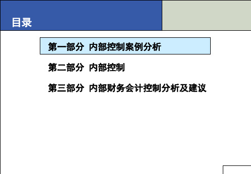 内部控制讲座(PPT 71页)