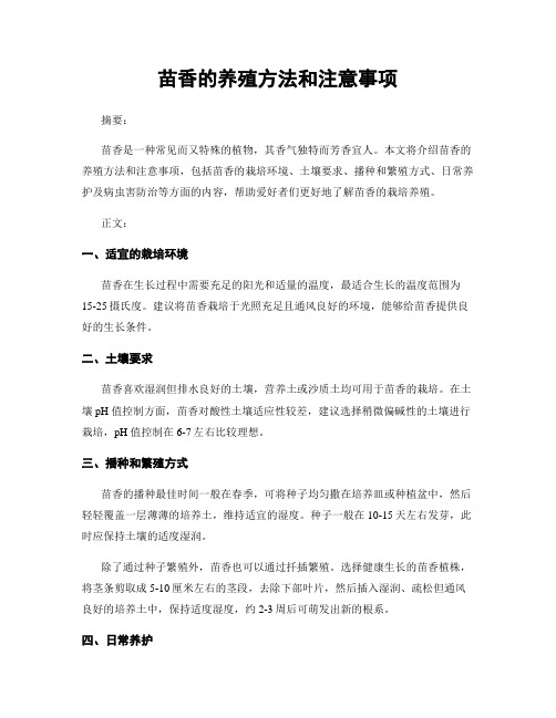 苗香的养殖方法和注意事项