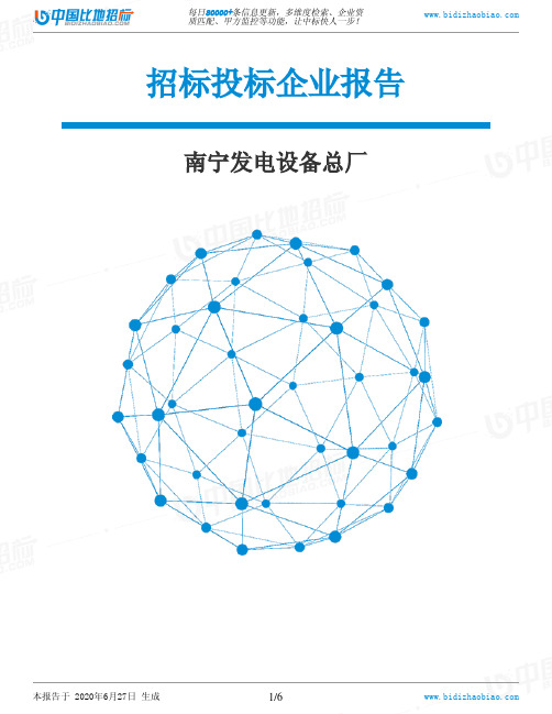 南宁发电设备总厂-招投标数据分析报告