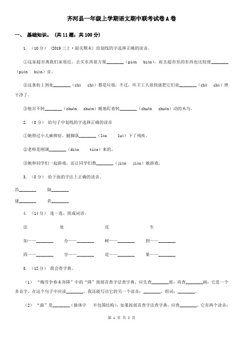 齐河县一年级上学期语文期中联考试卷A卷