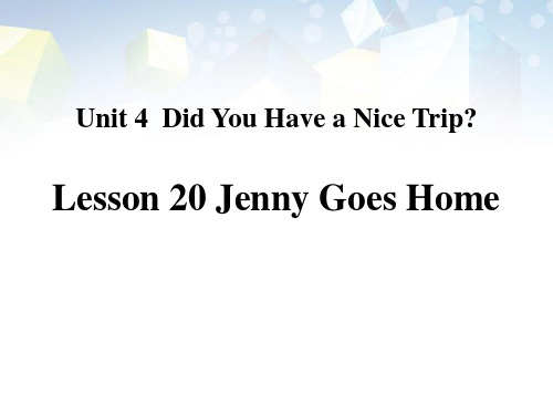 《Jenny Goes Home》Did You Have a Nice Trip 图文