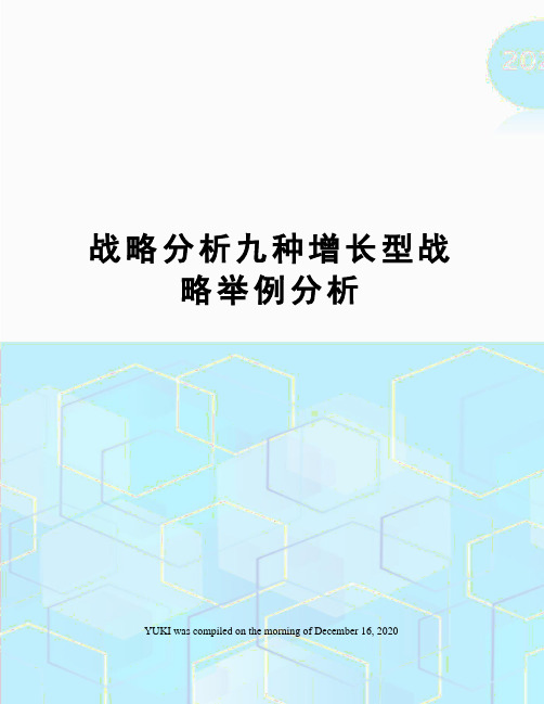 战略分析九种增长型战略举例分析