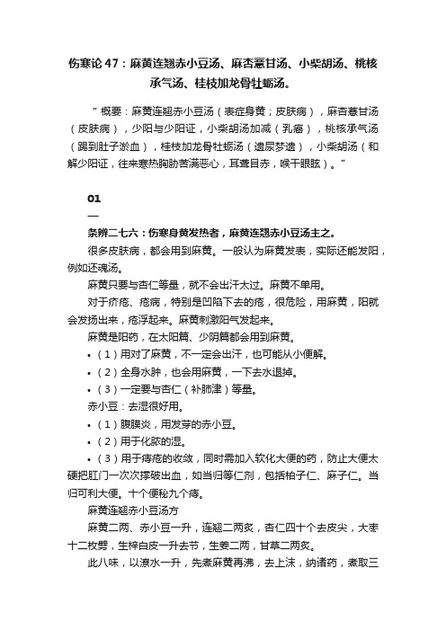 伤寒论47：麻黄连翘赤小豆汤、麻杏薏甘汤、小柴胡汤、桃核承气汤、桂枝加龙骨牡蛎汤。