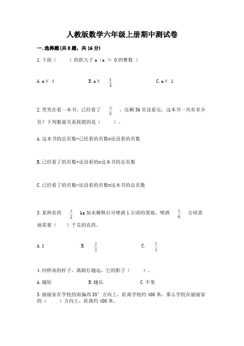 人教版数学六年级上册期中测试卷【易错题】