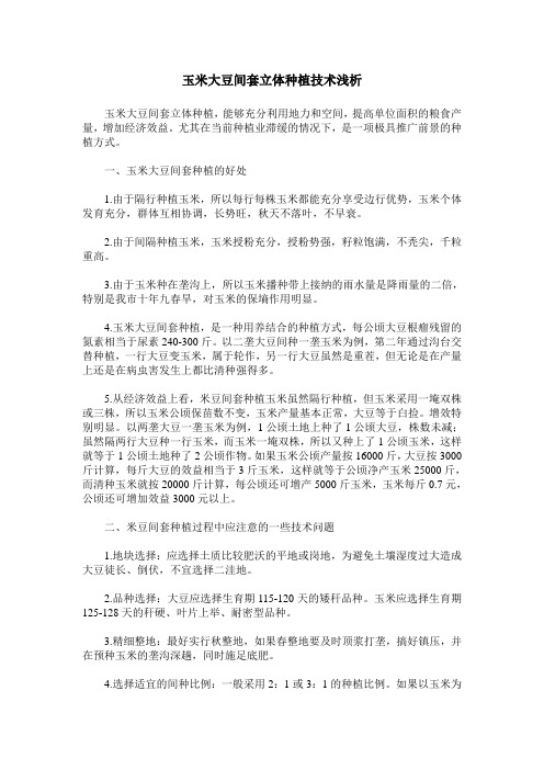 玉米大豆间套立体种植技术浅析