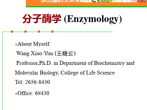 分子酶学(Enzymology)