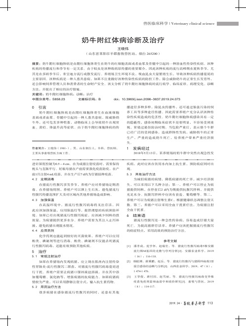 奶牛附红体病诊断及治疗