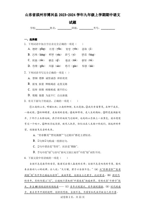 山东省滨州市博兴县2023-2024学年九年级上学期期中语文试题