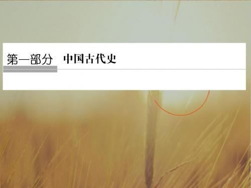 2018版高考历史 通史版大一轮复习配套课件：阶段一 中