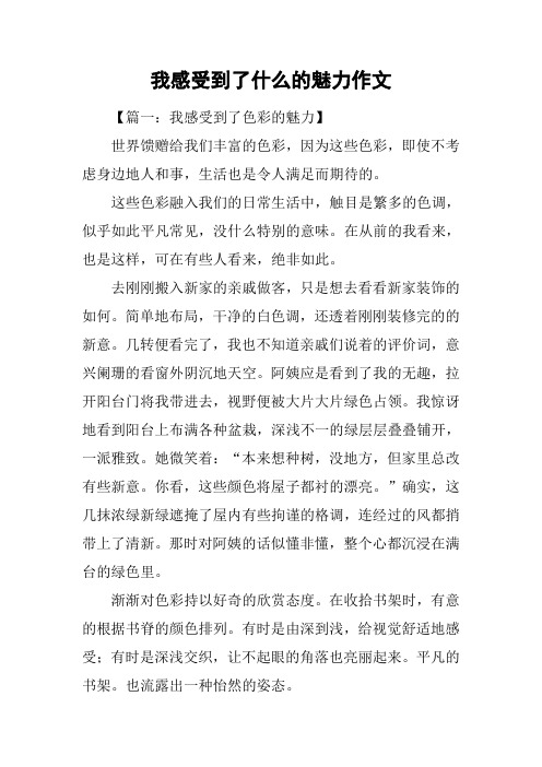 我感受到了什么的魅力作文