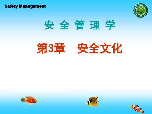 《安全管理学(第2版)》田水承、景国勋 第三章安全文化