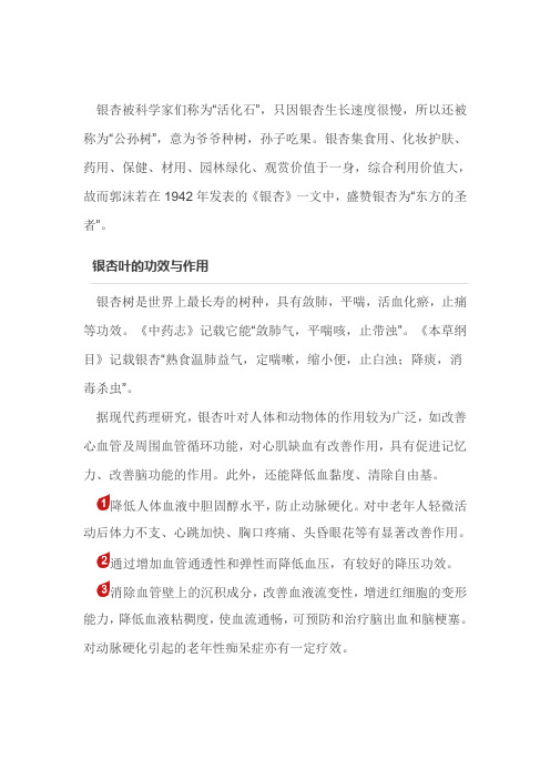 营养学院:银杏叶的功效与作用