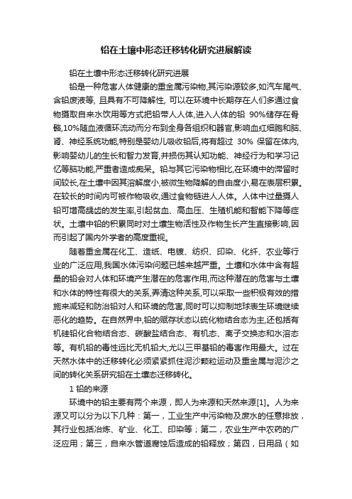 铅在土壤中形态迁移转化研究进展解读