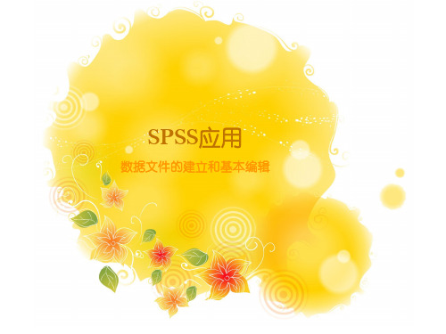 SPSS应用-数据文件的建立和基本编辑